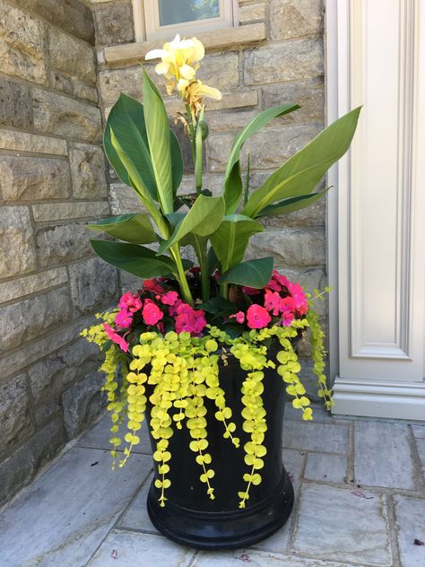 Big Pots For Plants Ideas, Plants Ideas Indoor, Painting Ideas Flowers, Flower Pot Painting Ideas, Winter Porch Pots, Flower Pot Painting, Pot Painting Ideas, Patio Flower Pots, Courtyard Plants