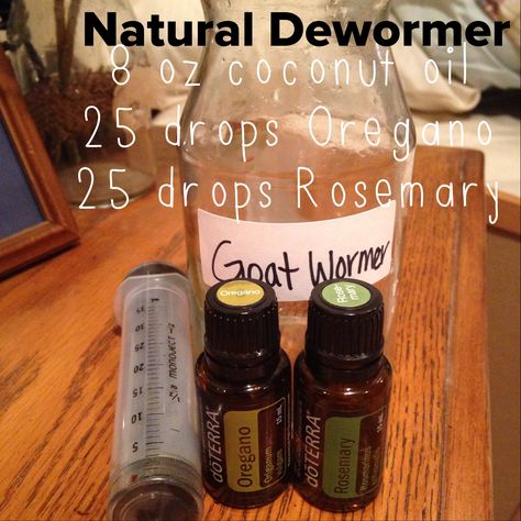 This natural de wormer has been amazing for our goats!!! But it will also work for horses, sheep, cattle, dogs, cats, chickens, you name it!!! Worming our animals is safer, cheaper, and more effective now since the worms can't build up a resistance to the essential oils. Dog Toys Homemade, Goat Health, Goat Care, Goat Barn, Raising Goats, Pygmy Goat, Cattle Dogs, Dairy Goats, Mini Farm