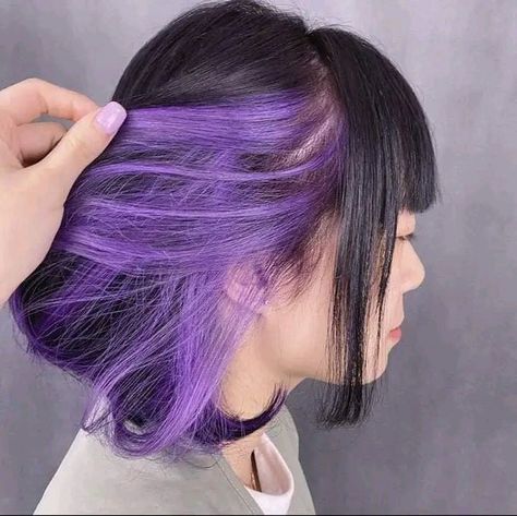 Black And Purple Bob Hairstyles, Lavender Hair Streak, Under Hair Dye Purple, Bob Panjang, Under Hair Dye, Under Hair Color, Short Purple Hair, Curled Hairstyles For Medium Hair, Purple Hair Highlights