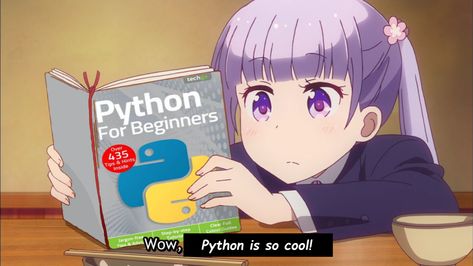 Anime Coding Aesthetic, Computer Programmer Aesthetic, Python Programming Aesthetic, Programming Aesthetic Girl, Anime Programmer, Programmer Girl Aesthetic, Compsci Aesthetic, Coding Programming Aesthetic, Anime Programming