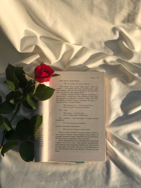 Roses find her story book Aesthetic Pictures Books And Flowers, Roses And Books Aesthetic, Aesthetic Bookstagram Photos, Books Aesthetic Instagram Post, Book Photography Ideas Simple, Book Flower Aesthetic, Flowers And Books Aesthetic, Flower And Book, Books With Flowers