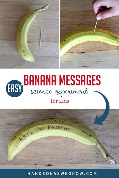 Simple, fun, no-prep science experiment for kids to do at home. With just 2 supplies try writing messages on bananas and watch as they change. Kids Science Experiment, Teaching Kids Letters, Toddler Science Experiments, Science Experiment For Kids, Experiment For Kids, Simple Science, Nutrition Science, Kid Experiments, Kids Science