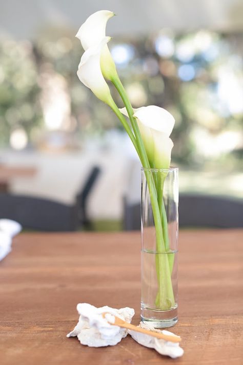 Calla lilies! Simple oyster shell salt and pepper on farm tables for a post-wedding brunch.  Photos by Landon Jacob Productions/ Spencer Special Events Calla Lily Centerpieces Simple, Calla Lily Table Decorations, Calla Lily Arrangement Vase, White Calla Lily Centerpiece, Calla Lily Table Centerpiece, Calla Lily In Vase, Cala Lilly Centerpiece, Calla Lily Bud Vase, Calla Lily Centerpieces Wedding