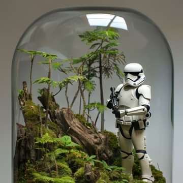 Star Wars Garden, Star Wars Terrarium, Darth Jar Jar, Lightsaber Forms, Yoda Lightsaber, Darth Bane, Kyber Crystal, Count Dooku, Terrarium Ideas