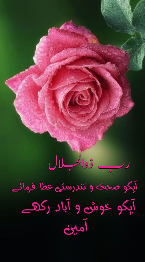 Good Morning Dua, Morning Dua, Best Advice Quotes, Cute Photo Poses, Good Day Messages, Good Morning Today, Morning Prayer Quotes, Good Morning Flowers Quotes, Good Morning Roses