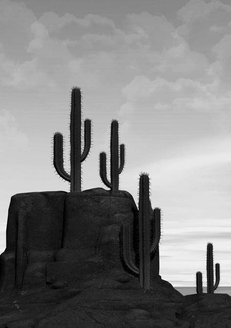 Desert Cactus Photography, Surreal Desert, Tablet Apps, Cactus Photography, City Square, Western Background, Retro Cowboy, Silky Terrier, Gothic Home