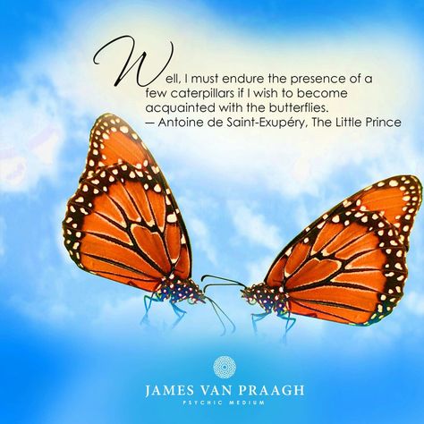 James Van Praagh, Angel Quotes, Psychic Mediums, The Little Prince, Great Quotes, Namaste, Psychic, The Live, Breaking News