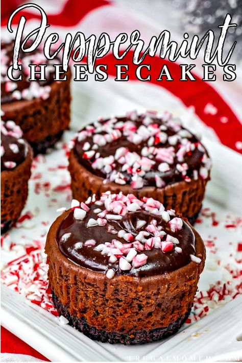 Chocolate Peppermint Cheesecake, Petite Desserts, Cheesecake Cups Recipe, Chocolate Cheesecake Bites, Peppermint Dessert, Cannoli Dip, Season Recipes, Clean Desserts, Peppermint Recipes