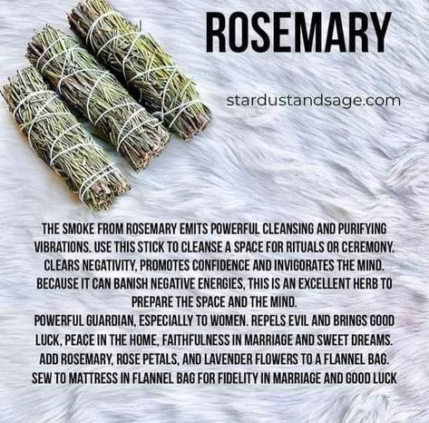 Sage Healing, Smudge Sticks Diy, Native American Education, Inner Child Wounds, Spiritual House, Cedar Smudge, Sage Smudge Sticks, Love Spirituality, Rosemary Sage