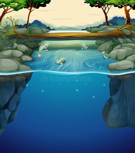 Underwater River, Easy Science Fair Projects, River Illustration, River Pictures, Underwater Fish, River Painting, River Fishing, About Nature, Fish Painting