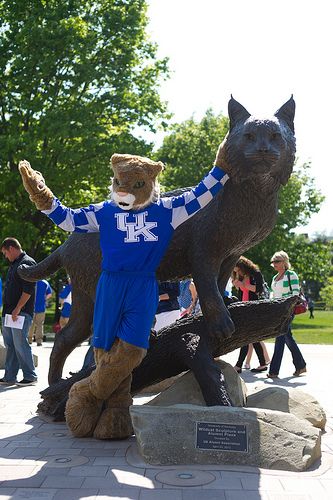 The Wildcat mascot poses with the newest campus landmark. Kentucky Mountains, Kentucky Football, Kentucky Sports, Wildcats Logo, Kentucky Wildcats Basketball, Wildcats Basketball, Sette Nani, Big Blue Nation, Bleed Blue