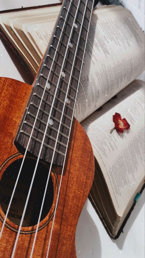 Ukulele Aesthetic Wallpaper, Ukulele Wallpaper, Arte Do Ukulele, Ukulele Aesthetic, Ukulele Photography, Ukulele Art, Acoustic Guitar Photography, Music Instruments Guitar, Instruments Art