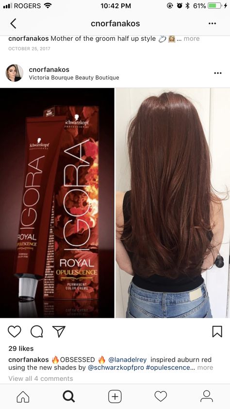 Igora Hair Color Brown, Topaz Hair Color, Red Brown Hair Color Auburn, Pelo Color Chocolate, Hair Color Red Brown, Brown Red Hair Color, Igora Hair Color, Red Brown Hair Color, Schwarzkopf Hair Color