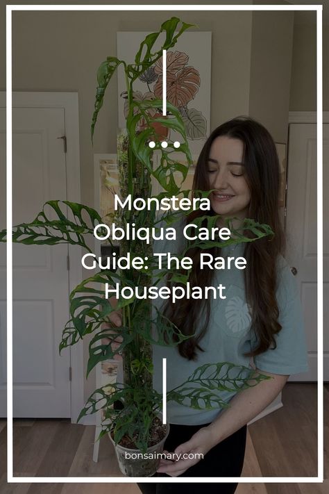 Step into the exclusive world of Monstera Obliqua care with our guide dedicated to nurturing this rare houseplant gem. Uncover the mysteries behind its unique beauty, learn the specialized care it craves, and elevate your plant parenthood with insider tips. Click now to delve into the extraordinary care journey of Monstera Obliqua, and follow us for a continuous flow of rare plant enchantment! Plant Parenthood, Monstera Obliqua, Rare Beauty, Unique Beauty, Rare Plants, House Plants, Plants, Beauty