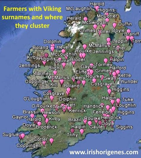 Dna Architecture, Viking Ancestry, Genealogy Ireland, Car Maserati, Genealogy Map, Irish Surnames, Irish Genealogy, Irish Ancestry, Genealogy Websites