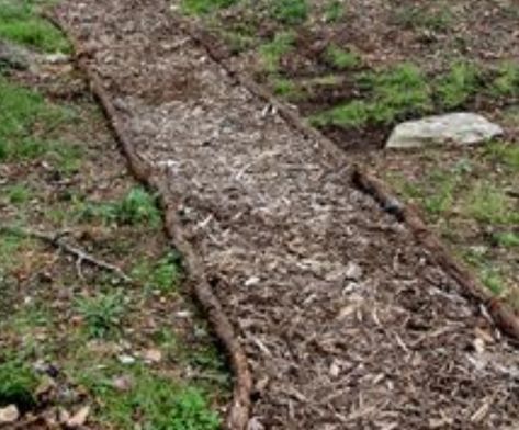 mulch path Cheap Garden Path, Diy Walking Path, Rock Walkway, Diy Pathway, Tree Mulch, Garden Path Ideas, Diy Path, Path Edging, Flagstone Path