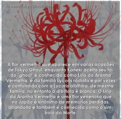 Lírio da aranha vermelha - Tokyo Ghoul Tokyo Ghoul Flower Tattoo, Tokyo Ghoul Flower, Tokyo Ghoul Tattoo, Red Spider Lily, Tokyo Ghoul Wallpapers, Otaku Meme, Demon Girl, Horror Characters, Body Mods