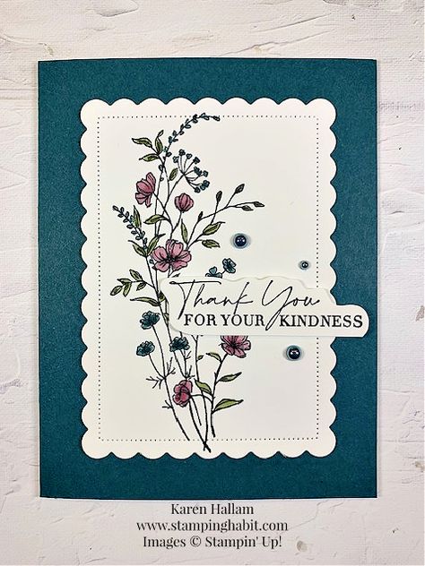 Dainty Delight (for CCMC 792) Stampin Up Dainty Delight, Dainty Delight, Diy Gift Set, Hello Cards, Summer Cards, Thanks Card, Spring Cards, Friendship Cards, Stamping Up Cards