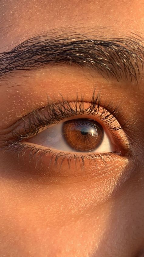 Pretty Eyes Color, Fake Photo Sick, Brown Eyes Aesthetic, Beautiful Eyes Color, Pretty Brown Eyes, Reference Photos For Artists, Beautiful Brown Eyes, Eye Pictures, Photos Of Eyes