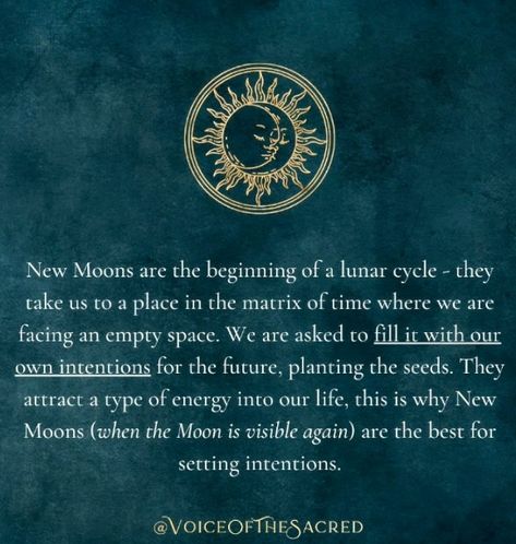 Moon In Leo, Virgo Moon, Lunar Cycle, New Moon, Moon Phases, Moon