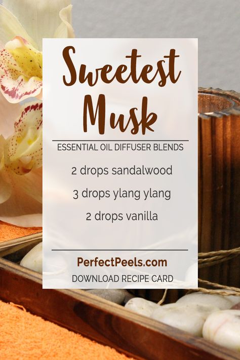 Essential oil diffuser blend with sandalwood. Ylang Ylang Essential Oil Perfume Blend, How To Make Vanilla Essential Oil, Diffuser Blends With Sandalwood, Sandalwood Oil Blends, Sandalwood Essential Oil Blends Perfume, Sandalwood Candle Recipe, Oud Essential Oil Blends, Santal 33 Essential Oil Blend, Sandlewood Essential Oil Diffuser Blends