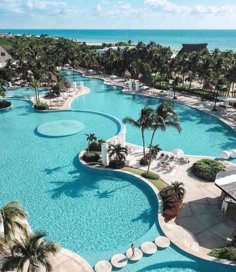 The Ocean, Palm Trees, Trees, Pool, Hotel, Travel, Instagram