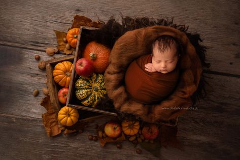 September Newborn Pictures, Newborn Fall Photos, Pumpkin Newborn Pictures, October Newborn Pictures, Newborn Fall Photoshoot, Fall Infant Photoshoot, Fall Theme Newborn Photo Shoot, Fall Themed Newborn Photos, Fall Newborn Pictures