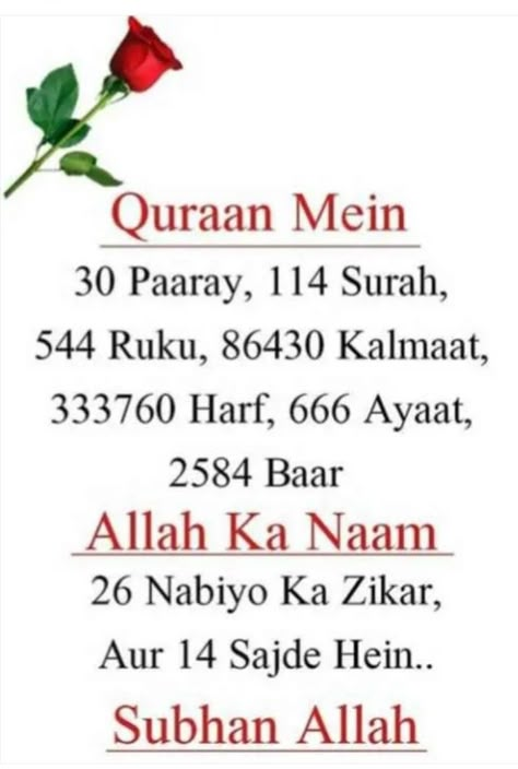 Muslim Words, Quotes From Quran, Alhumdulillah Quotes, Quotes On Marriage, Islamic Quotes On Marriage, Quote Islam, Islamic Information, Muslim Love, Pray Quotes