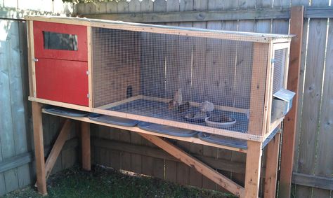 Diy Quail Cage, Quail Hutch, Quail Pen, Quail House, Quail Cage, Button Quail, Quail Coop, Cheap Chicken Coops, Raising Quail