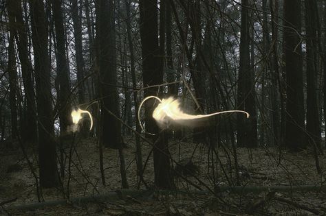 ... Lightning Ball, Rare Phenomenon, Weather Phenomenon, Ball Lightning, Lightning Storms, Weather Cloud, Earth Wind & Fire, Lightning Storm, Stormy Weather