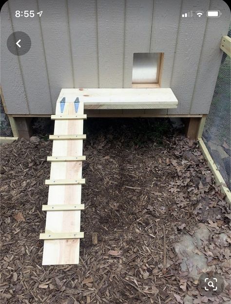 Quail Aviary, Chicken Ladder, Chicken Shelter, Chicken Brooder, Chicken Supplies, Chicken Roost, Cute Chicken Coops, Duck Coop, Backyard Chicken Coop Plans