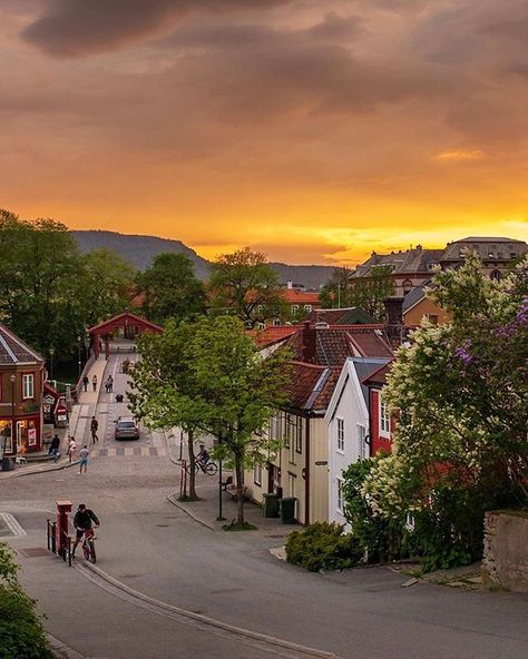 Trondheim Norway, Italy Vibes, Scandinavian Aesthetic, Sweden Travel, Visit Norway, Norway Travel, Trondheim, European Tour, Dream City