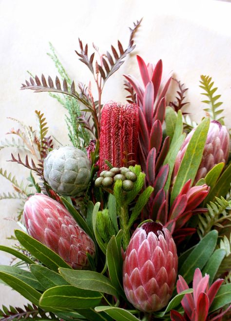 Australian Flower Arrangement, Protea Arrangements, Australian Botanicals, All Things Bright And Beautiful, Protea Art, Protea Bouquet, Tropical Flower Arrangements, Table Flower Arrangements, Protea Flower