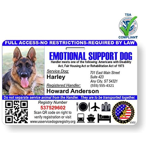 Just 4 Paws Custom Holographic QR Code Emotional Support Dog ID Card with Registration to Service Dogs Registry with Strap - Landscape Style * You can find more details by visiting the image link. (This is an affiliate link) #dogidtags Service Dogs Gear, Blank Certificate, Emotional Support Dog, Id Card Template, Support Dog, Emotional Support Animal, Card Templates Free, Certificate Design, Dog Id Tags