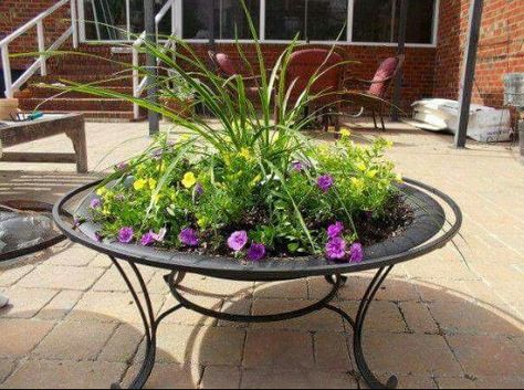 Recycle firpit Fire Pit Flower Planter, Repurpose Fire Pit, Repurposed Fire Pit, Fire Pit Planter, Pergola Shade Diy, Cheap Planters, Hgtv Garden, Cool Fire Pits, Planter Garden