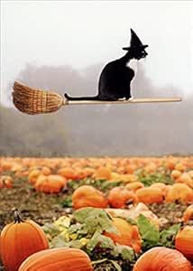 Avanti, Avanti Cat Riding Broom Cat Riding, Fall Cats, Iphone Wallpaper Cat, Halloween Garden Flag, Cat Halloween Costume, Halloween Garden, Color Interior, Halloween Card, Halloween Vintage