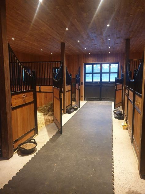 Credence Penelope Douglas, Luxury Horse Stables, Luxury Horse Barns, Dream Barn Stables, Barn Layout, Equestrian Barns, Horse Farm Ideas, Horse Barn Ideas Stables, Horse Barn Designs