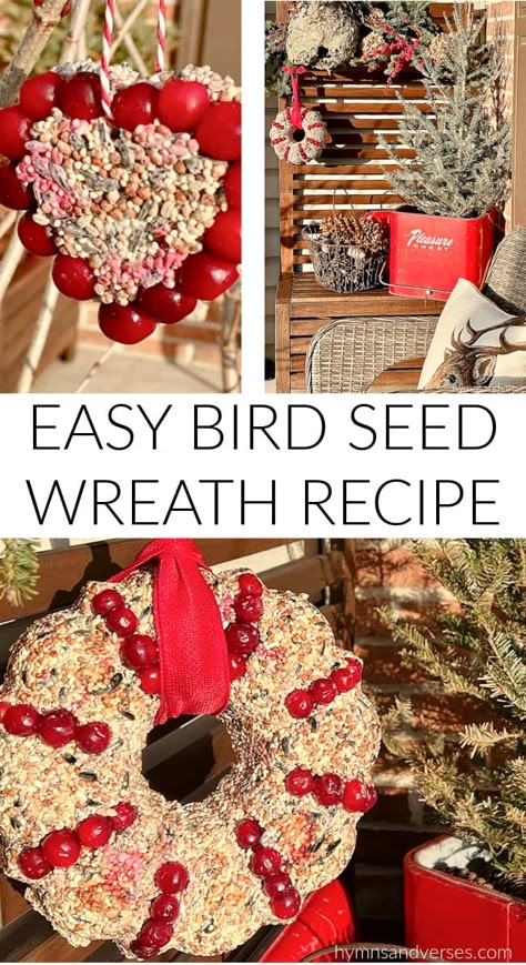 Bird Seed Wreath Recipe, Bird Seed Crafts, Bird Seed Wreath, Bird Seed Ornaments Recipe, Food Wreath, Winter Bird Feeders, Camp Christmas, Wreath Recipe, Backyard Birds Sanctuary