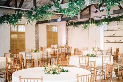 Charleston Area Weddings | Cannon Green | Nancy & Jp Porcelain Wedding, Wedding View, Aspen Wedding, South Carolina Wedding, Charlotte Wedding, Charleston Wedding, Wedding Website, Green Wedding, Wedding Classic