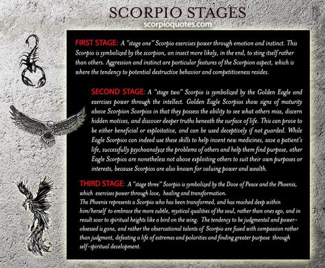 Scorpion Quotes, Horoscope Meanings, Scorpio Personality, All About Scorpio, Astrology Scorpio, The Scorpions, Scorpio Traits, Zodiac Scorpio, Scorpio Love