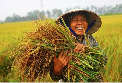 beautiful face Agriculture Pictures, Agriculture Photography, Philippine Art, Vietnam Travel Guide, Filipino Culture, Painting Competition, Geometric Design Art, Smile Photography, Photo Editing Tutorial