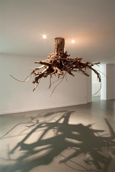 Wonderful tree root art, interesting on different levels....Rooted yet suspended...tangled yet mere shadows to walk through.....'humus 2012' by giuseppe licari Wc Decoration, Boom Kunst, Diy Studio, Architecture Ideas, Tree Roots, Tree Sculpture, Stonehenge, Sculpture Installation, Plant Art