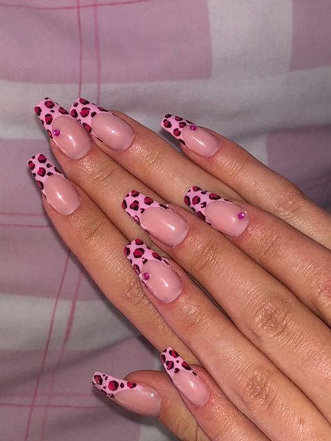 Ib: @afterlaughs #pinkfrench #gelnails #pinknails #longnails Pink Leo Nails, Leo Nails, Aesthetic Nail, Nail Goals, Gorgeous Nails, Cute Acrylic Nails, French Nails, Pink Aesthetic, Long Nails