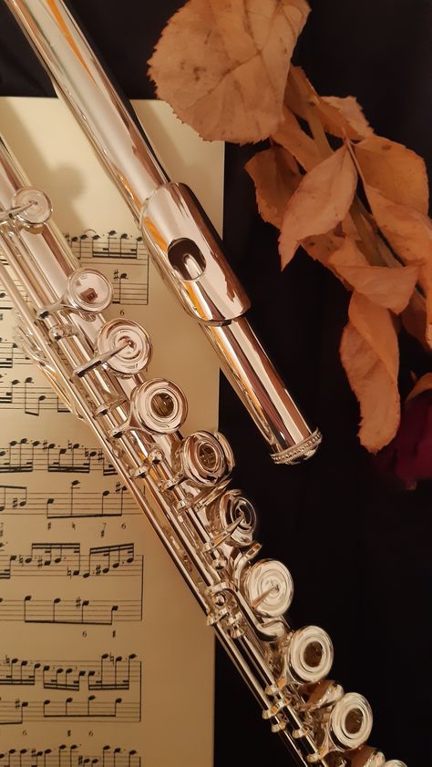 Flute Aesthetic Wallpaper, Flute Wallpapers, Flute Aesthetic, Self And Society, Transverse Flute, Wooden Flute, Flute Instrument, Musician Humor, Marching Band Humor