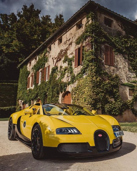 Super Car Bugatti, Car Tips, Personal Color, Bugatti Cars, Exotic Sports Cars, Bugatti Chiron, Yellow Colour, Super Car, Bugatti Veyron