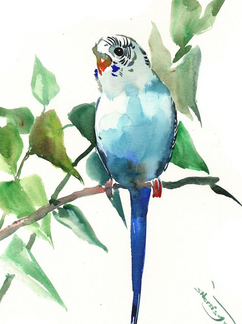 White Budgie, Parakeet Art, Complementary Color Scheme, Green Budgie, Budgies Bird, Paint Your Pet, Bird Watercolor Paintings, Watercolor Birds, Bird Watercolor