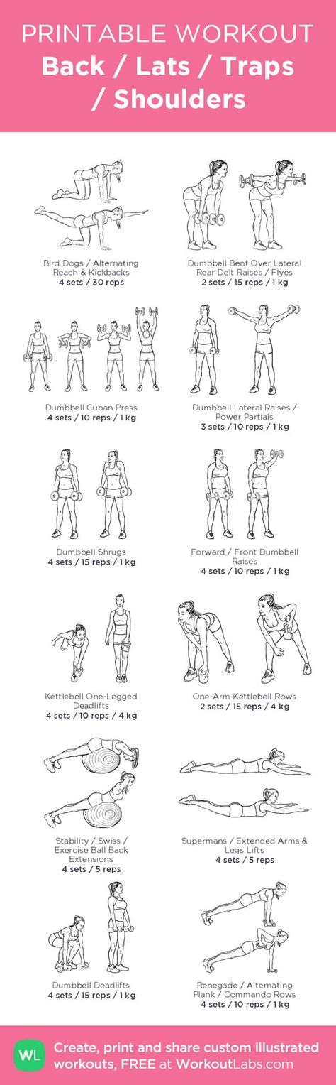 Back / Lats / Traps / Shouldersâ my custom exercise plan created at WorkoutLabs.com â¢ Click through to download as a printable workout PDF #customworkout Workout Printable, Cardio Yoga, Printable Workout, Exercise Plan, Printable Workouts, Week Diet, 7 Minutes, Belly Fat Workout, Back Exercises