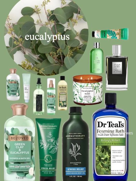 How To Smell Like Eucalyptus, How To Smell Like Mint, Skin Care Body Wash, Mint Perfume, Anastasia Core, Lotion Skin Care, Grade 9, Shower Skin Care, Body Smells