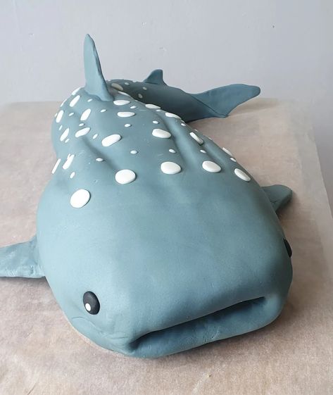 Whale Shark cake for Penelope's 12th Whale Shark Cake, Shark Cakes For Kids, Cake Cute, Shark Cake, Whale Shark, Gum Paste, Gum, Cake Decorating, Cake