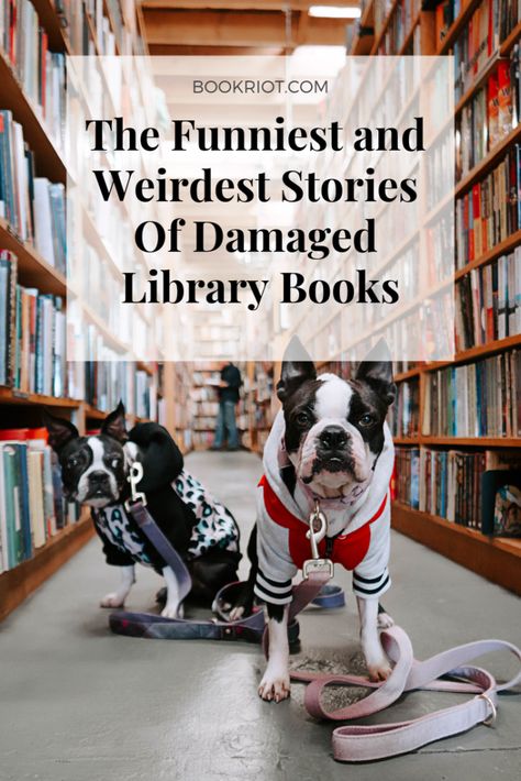 Library Book Return, Book Return, Librarian Humor, School Library Lessons, Library Humor, Books To Read Before You Die, Dog Training Books, How To Speak Chinese, Library Lessons